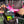 Load image into Gallery viewer, Occhiali da sole unisex arrotolabili